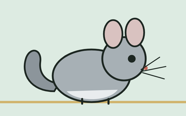 Zeichnung eines Chinchillas