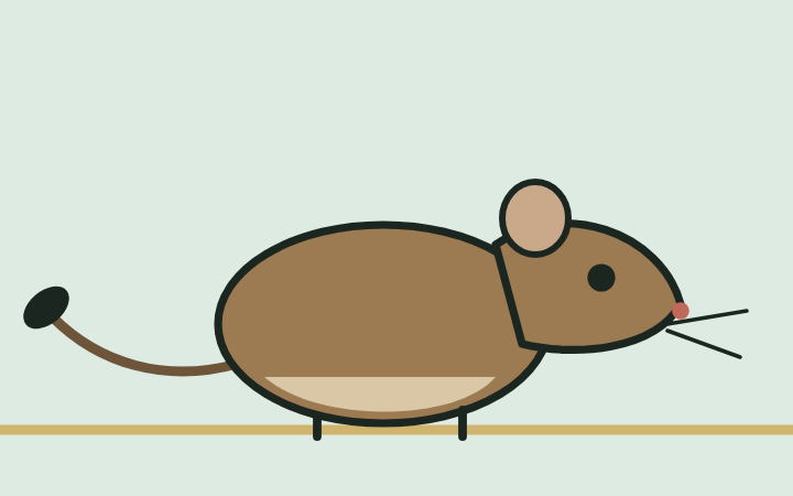 Zeichnung eines Degus
