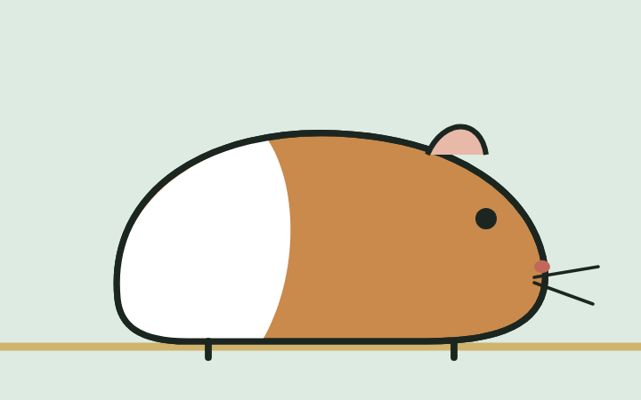 Zeichnung eines Meerschweinchens